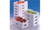 Fruit Box production line