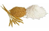 Wheat flour production line